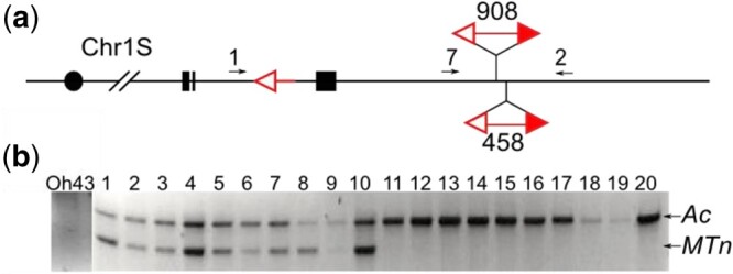 Fig. 6.