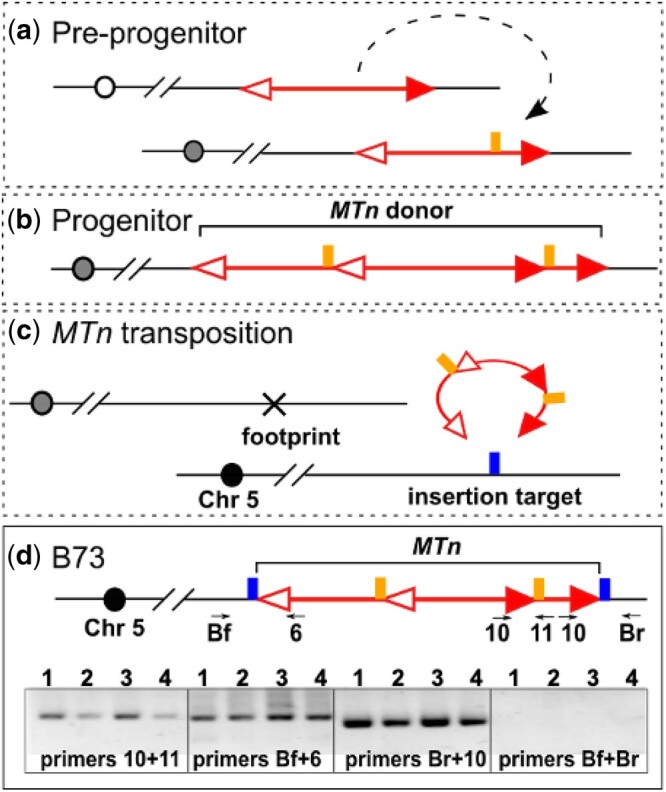 Fig. 7.