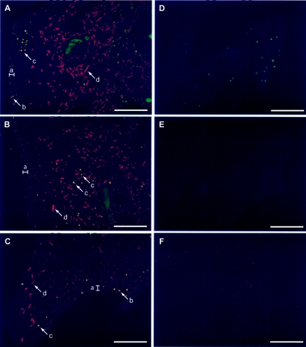 FIG. 7.