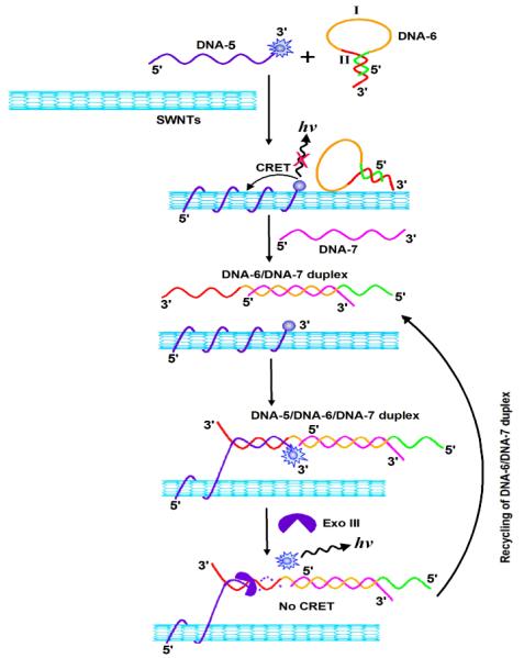 Scheme 2