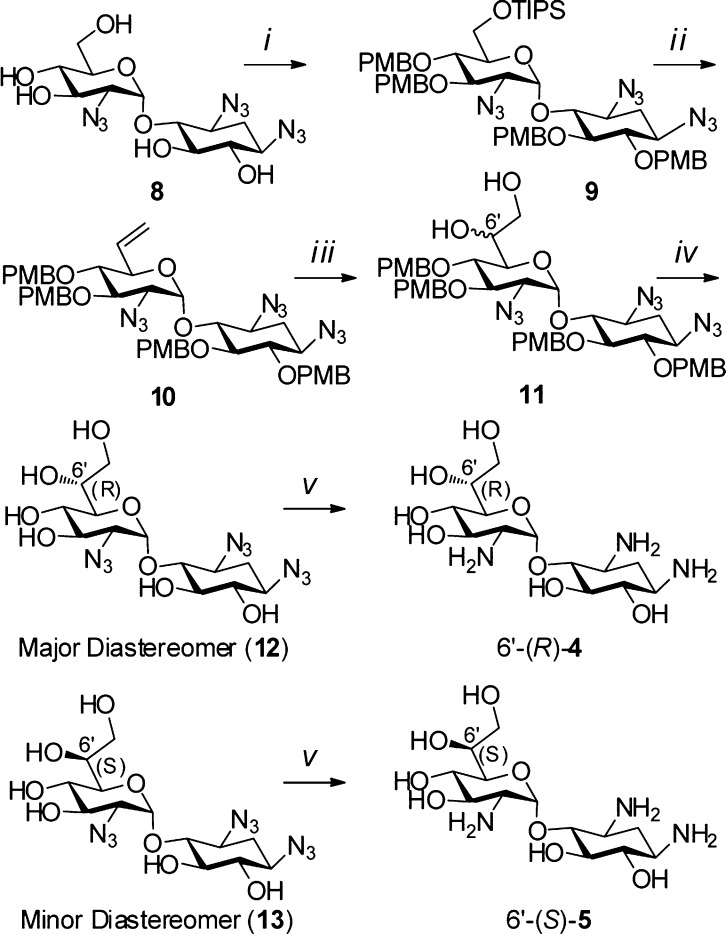 Scheme 1