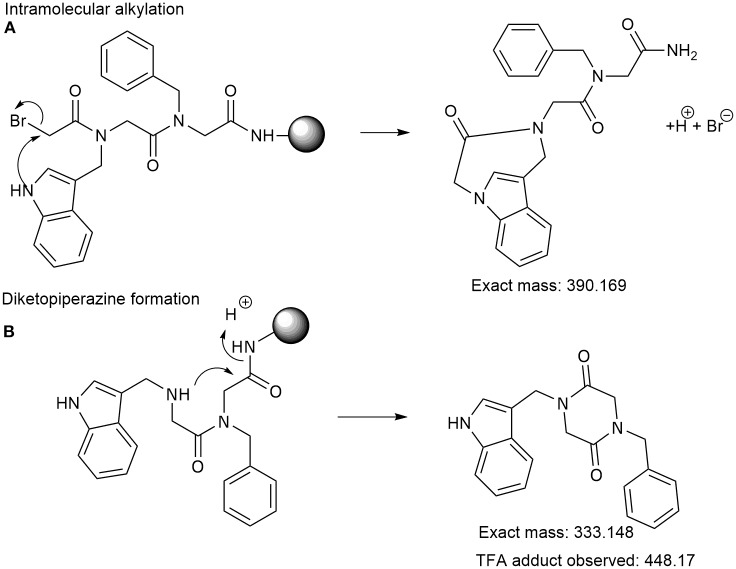 Scheme 3