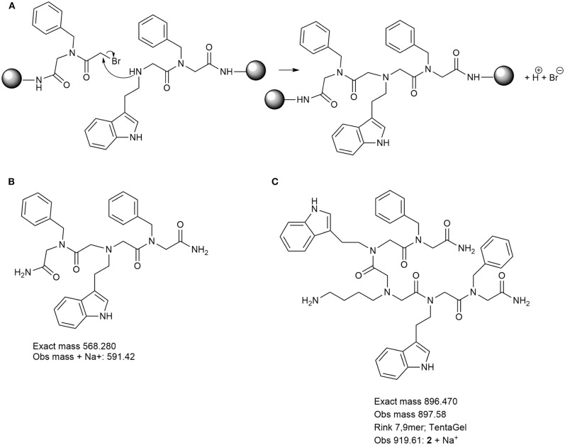 Scheme 2