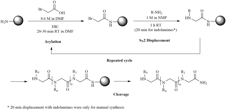 Scheme 1