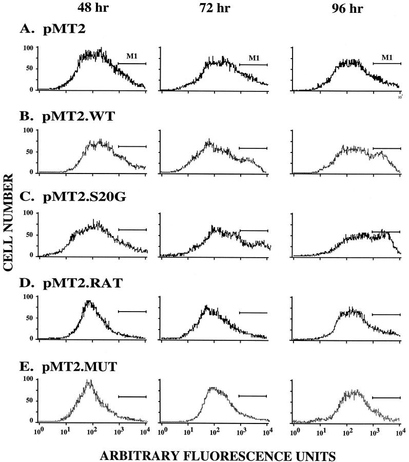 Figure 2.