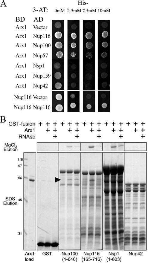 Figure 7.