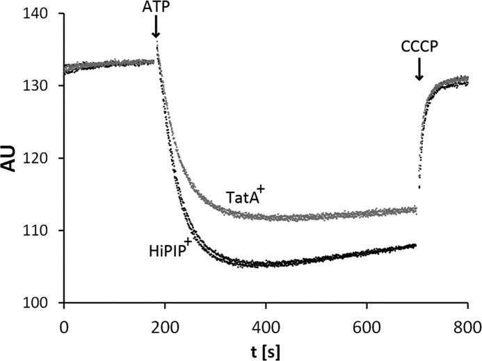 FIGURE 6.