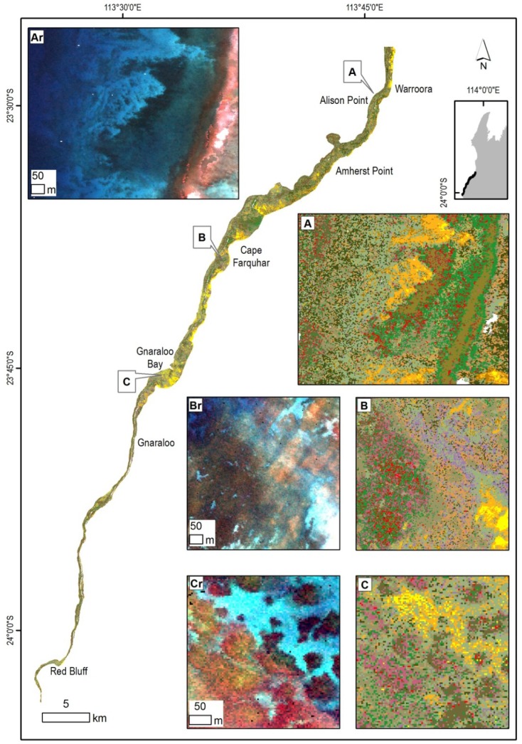 Figure 11