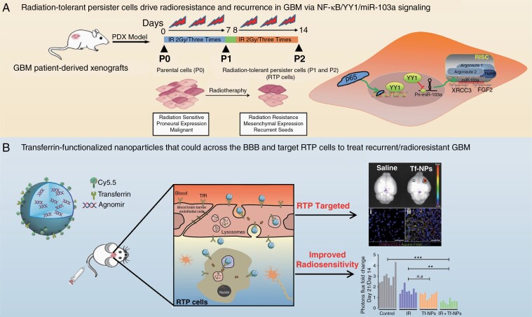 Graphical Abstract