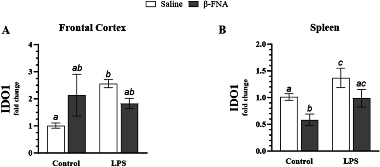 Fig. 10