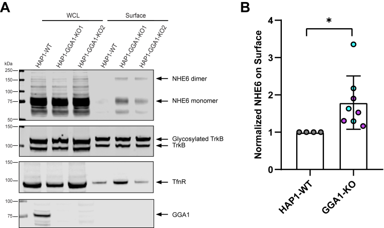 Figure 9