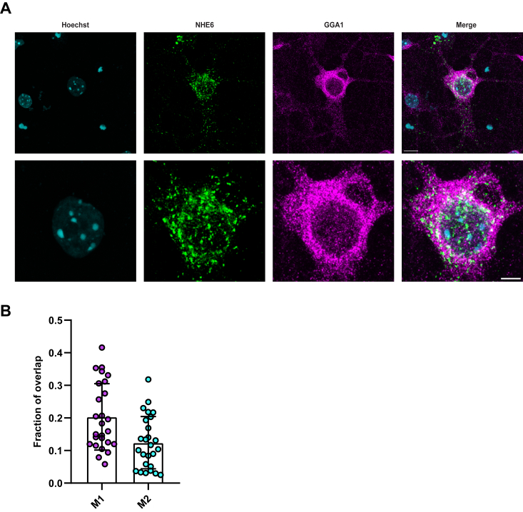 Figure 4