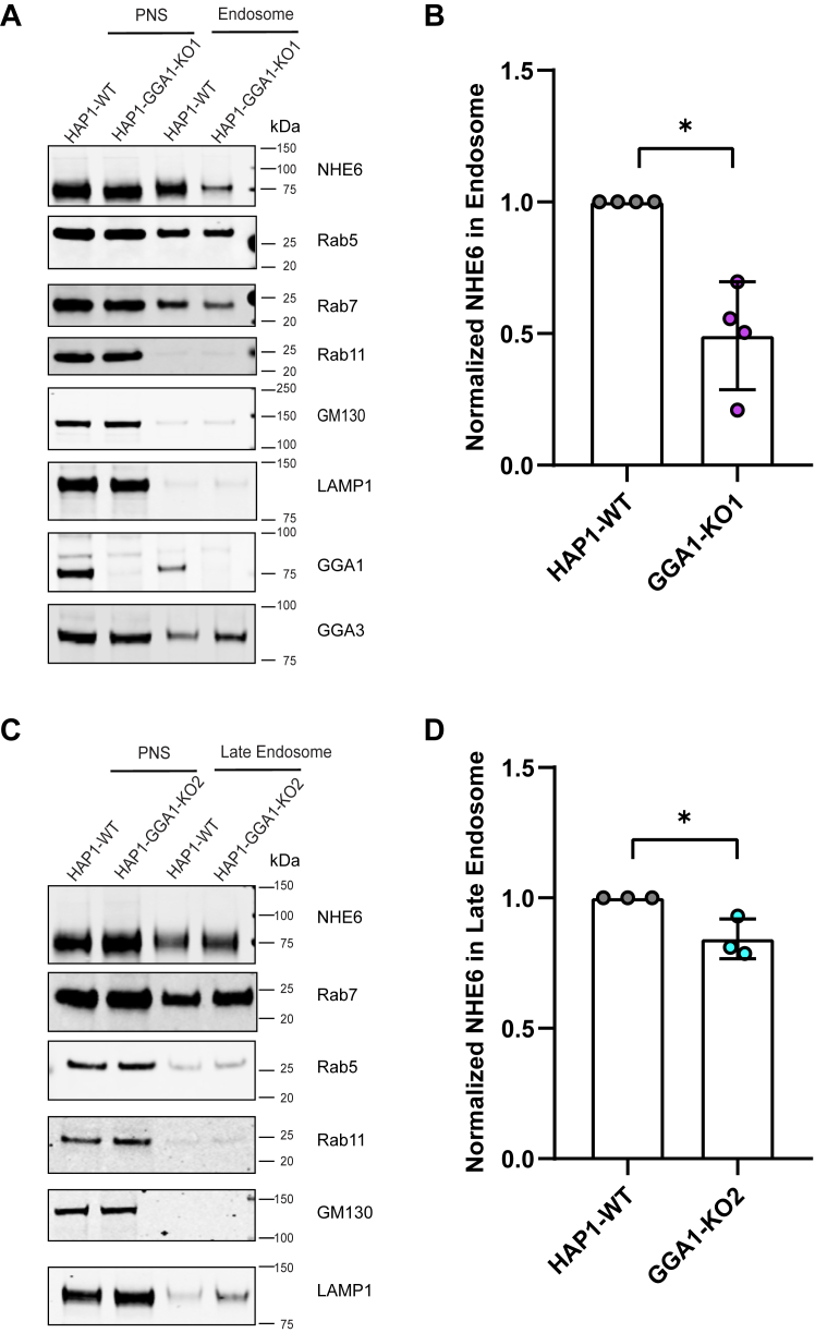 Figure 6