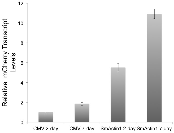 Figure 11