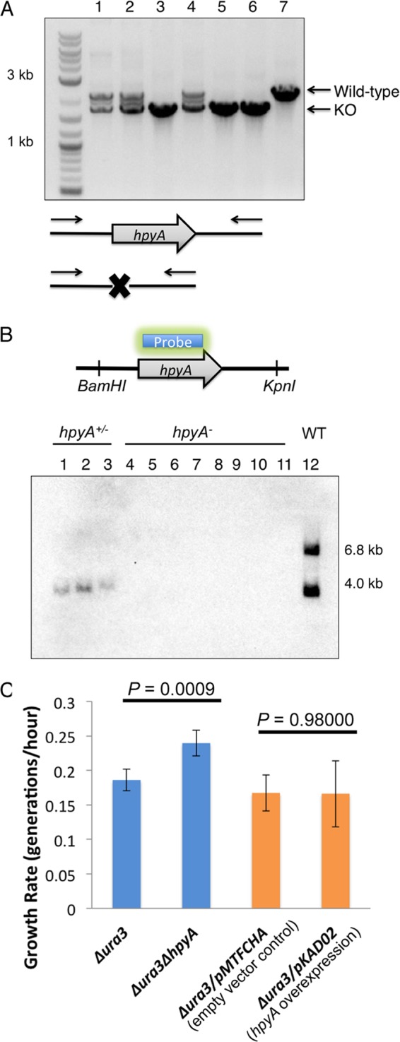 FIG 2 