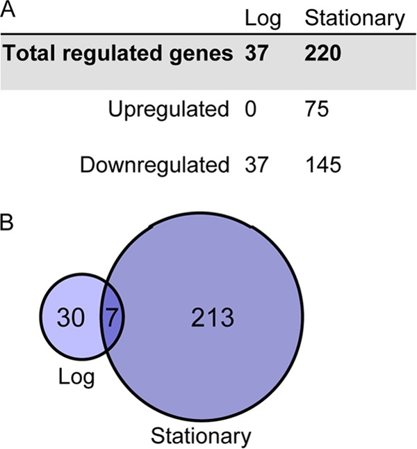 FIG 4 