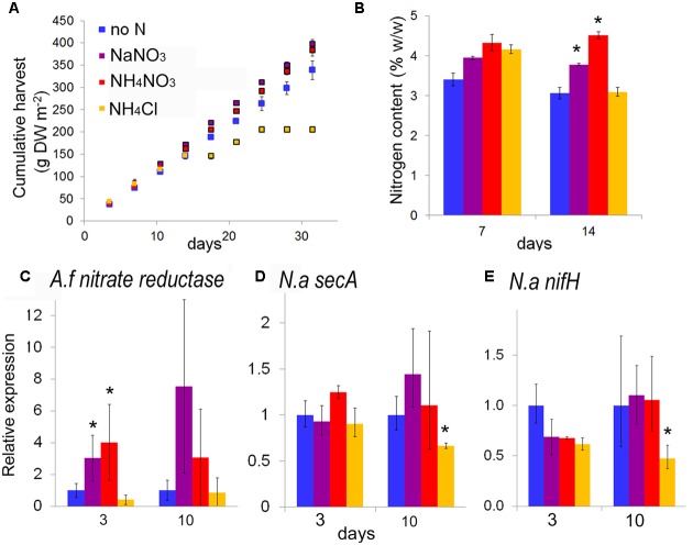 FIGURE 2