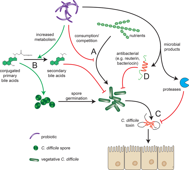 FIGURE 1: