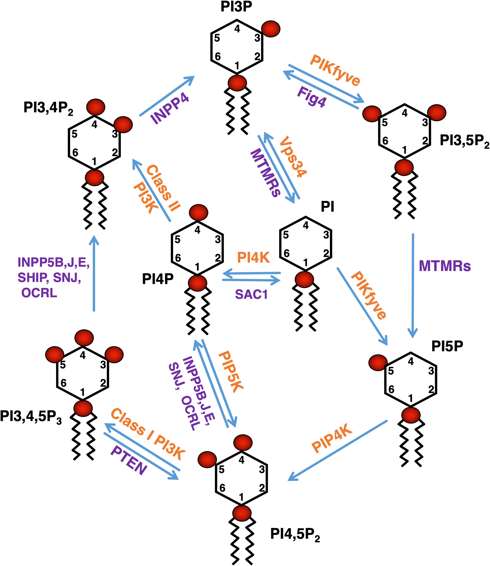 Figure 1: