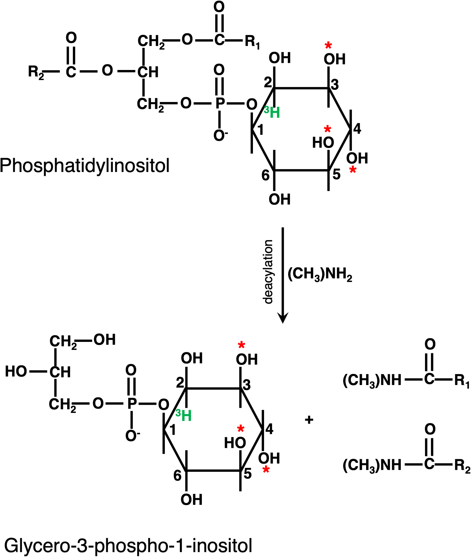 Figure 2: