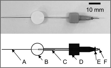 FIG. 2.