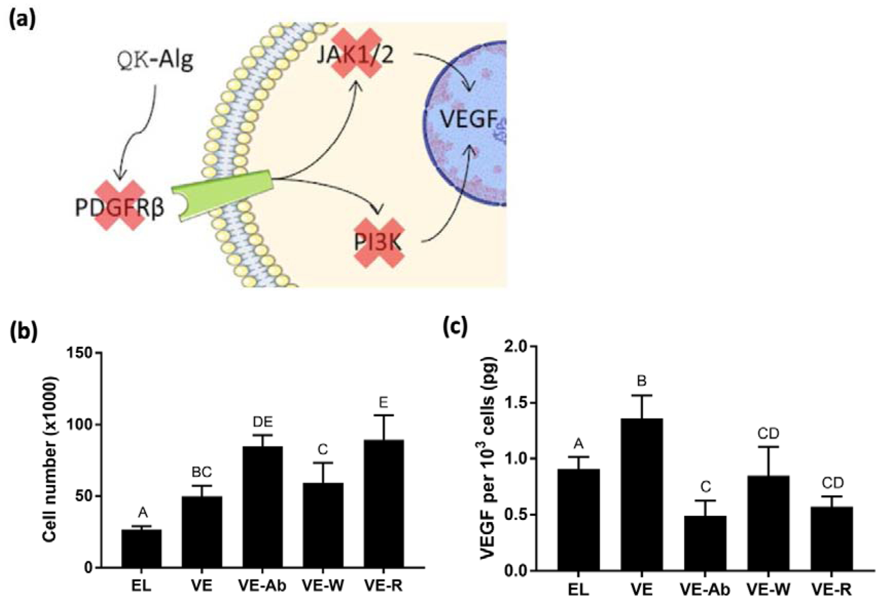 Figure 5: