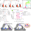Figure 6. XPO1 inhibition and synergizes with Menin inhibitor in NPM1c leukemia treatment. A, HOXA9, HOXA10, and HOXB4 relative expression level after the treatment of 50 nmol/L MI-3454, 25 nmol/L eltanexor, and combination of the two in OCI-AML3 cells. n = 3; mean ± SEM is shown. P value is calculated by one-way ANOVA test with Turkey test on all pairwise comparison between treatment groups. N.S: not significant; *, P < 0.05; **, P < 0.01; ***, P < 0.001. B, Differentiation (CD11b flow cytometry) induced by 50 nmol/L MI-3454, 25 nmol/L eltanexor, and combination of the two in OCI-AML3 cells in 7-day treatment. C, In vitro colony-forming assay of NPM1c AML blast with DMSO, 50 nmol/L MI3454, 25 nmol/L eltanexor, and the combination. n = 3, Mean ± SD is shown. P value is calculated by one-way ANOVA test with Turkey test on all pairwise comparison between treatment groups. n = 2 for AML-5317. n = 3 for AML-557. N.S: not significant; *, P < 0.05; **, P < 0.01; ***, P < 0.001. D, Leukemic burden assay scheme with NSGS mouse (top). Leukemia burden after the vehicle, MI-3454, eltanexor, and combination treatment (bottom). Mean ± SD was shown. The number of mice in each group is listed. P value is calculated by t test of hCD45 engraftment at day 84 after transplantation comparing between the combination group and all other groups. E, The normal differentiation process in hematopoiesis. During the normal hematopoiesis process, the HOXA/B cluster and MEIS1 are step-wise silenced through chromatin modification. First, in the HSPCs ready to differentiate, active histone acetylation mark will be removed by HDACs. Then during terminal differentiation, heterochromatin marks like H3K27me3 will accumulate in HOXA/B cluster and MEIS1 to fully silence HOXA/B cluster and MEIS1. This will ensure the proper shutdown of stem cell self-renewal genes and prevent the ectopic expression of the HOXA/B cluster and MEIS1. F, When NPM1c mutation occurs in the leukemia cell-of-origin (likely HSPCs), the NPM1c protein will form multicomponent condensate through multivalent heterotypic interactions. This formation of condensate will lead to transcriptional amplification of the HOXA/B cluster and MEIS1 genes, and prevent the initial step during normal hematopoiesis to silence the gene by HDACs. This transcriptional hijacking by NPM1c will not only lead to the arrest of gene expression at the HSPC stage and will also block the differentiation initiated by HDACs.