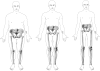 Fig. 4