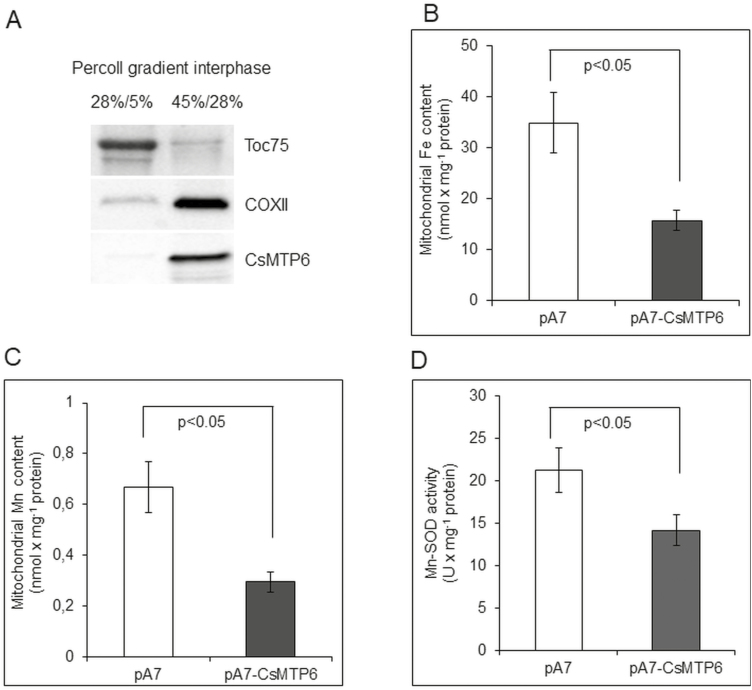 Fig. 7.