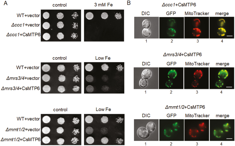 Fig. 3.