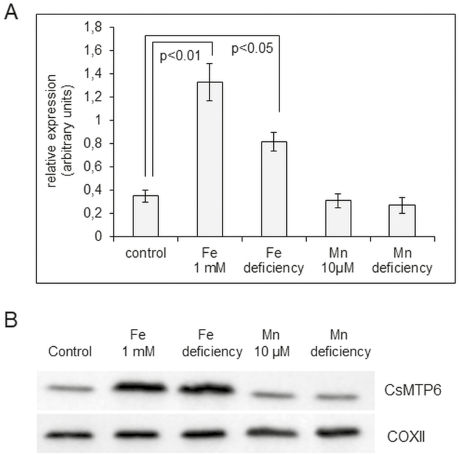 Fig. 8.