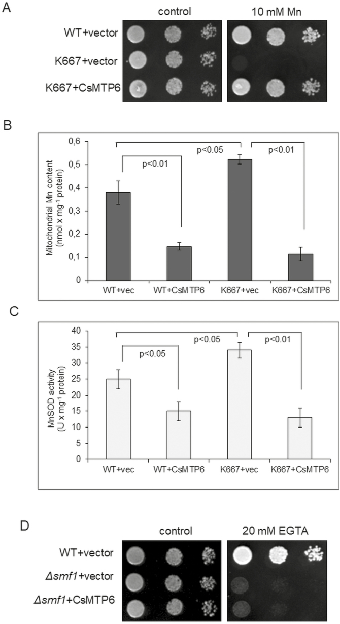 Fig. 6.