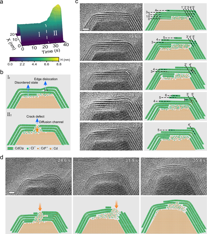 Fig. 4