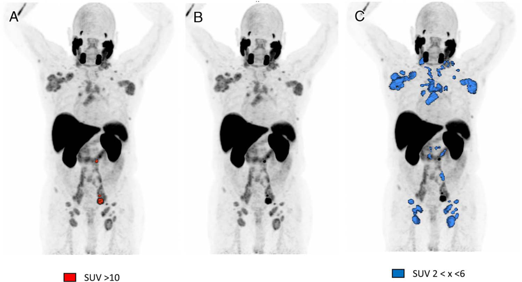 FIGURE 1.