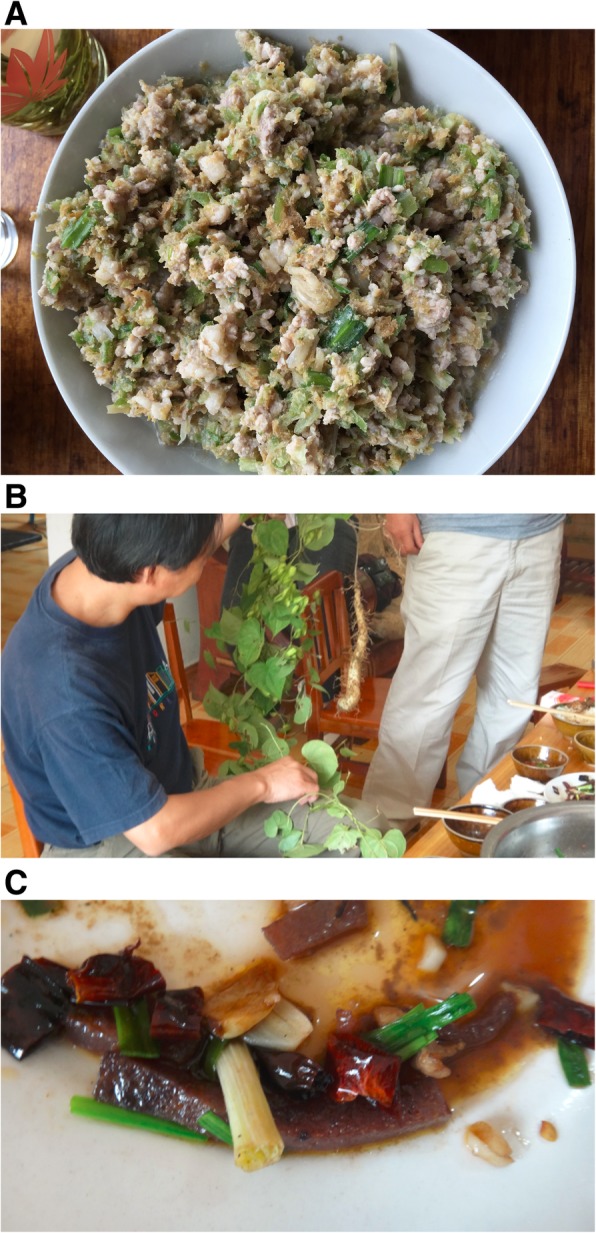 Fig. 4