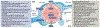 Fig. 2 |