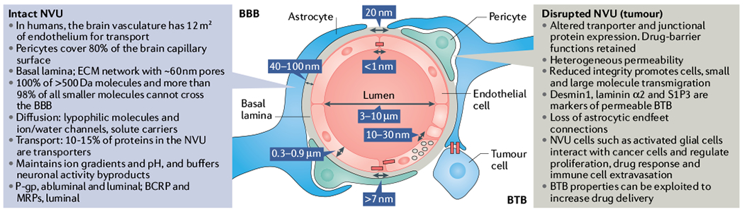 Fig. 2 |