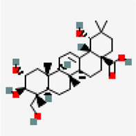 graphic file with name fphar-12-667704-fx54.jpg