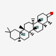 graphic file with name fphar-12-667704-fx41.jpg