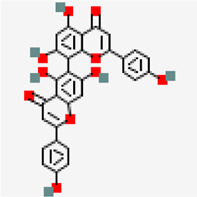 graphic file with name fphar-12-667704-fx69.jpg