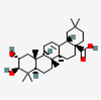 graphic file with name fphar-12-667704-fx38.jpg
