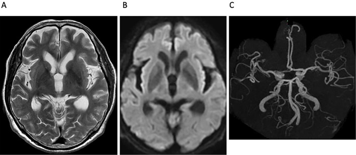 Figure 3.