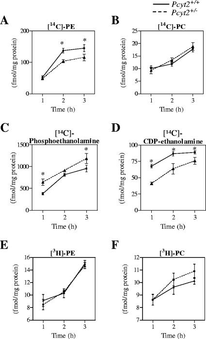 FIG. 8.