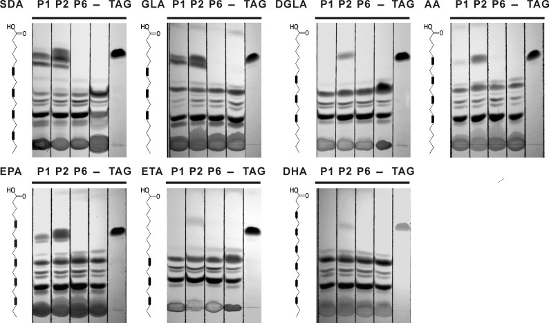 FIGURE 9.