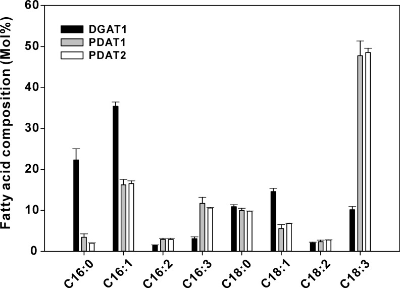 FIGURE 10.