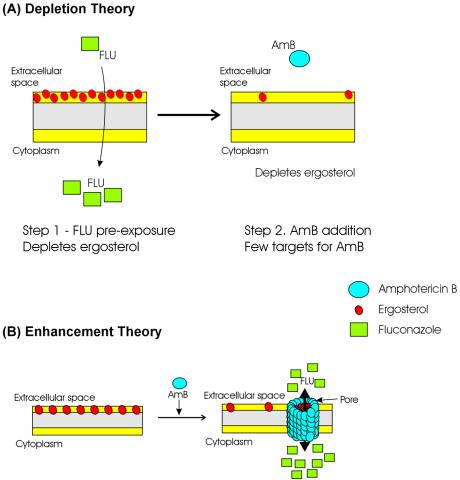 FIG. 4.