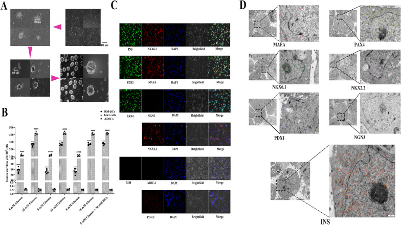 Fig. 4