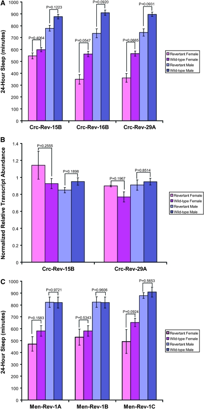 Figure 5.—