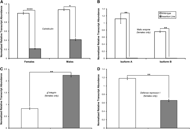 Figure 4.—