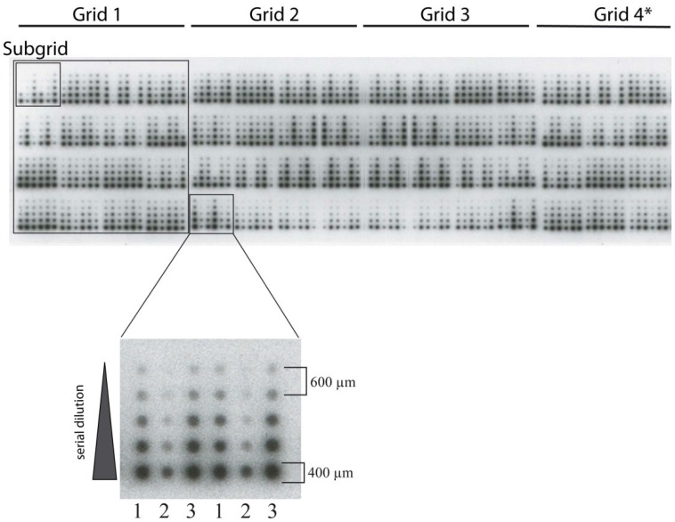 Figure 5